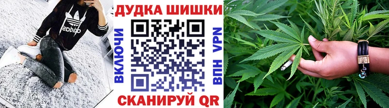 Бошки Шишки Amnesia  Рыльск 